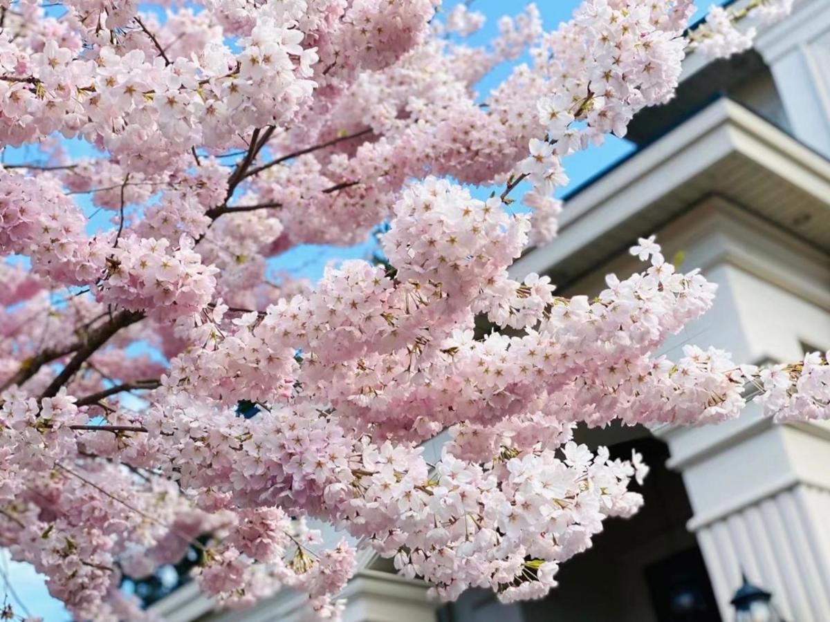 ريتشموند، كولومبيا البريطانية Vancouver Shangrila House المظهر الخارجي الصورة